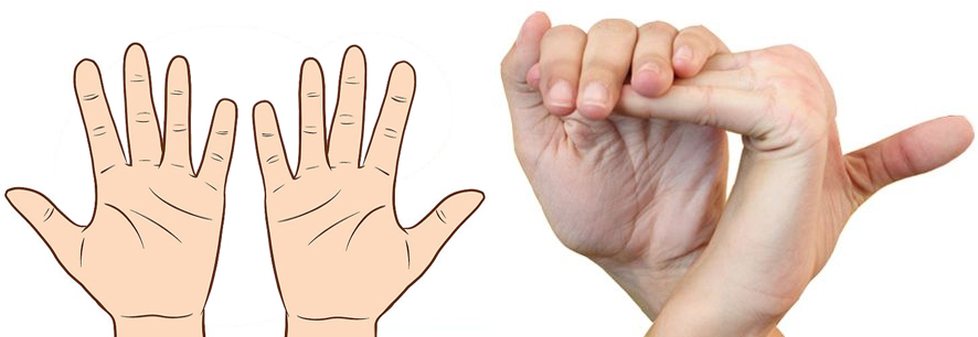 palmist hand